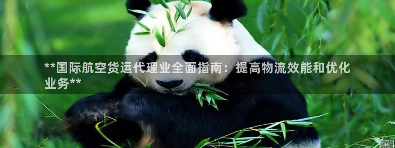 尊龙网站人生就是博：**国际航空货运代理业全面指南：提高