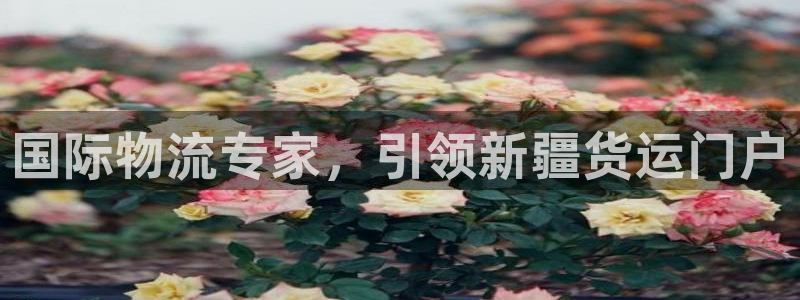 ag尊龙怎么样：国际物流专家，引领新疆货运门户