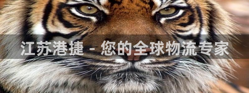 尊龙凯时企业文化：江苏港捷 - 您的全球物流专家