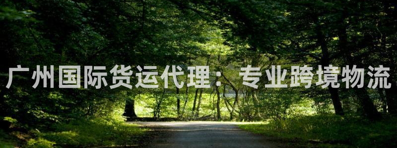 尊龙凯时里面的洗码：广州国际货运代理：专业跨境物流