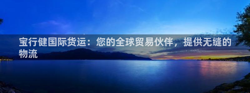 尊龙凯时官网网址：宝行健国际货运：您的全球贸易伙伴，提供