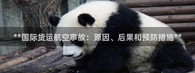尊龙凯时 人生就是搏 平台：**国际货运航空事故：原因、