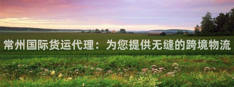 尊龙d88皆选ag发财网：常州国际货运代理：为您提供无缝