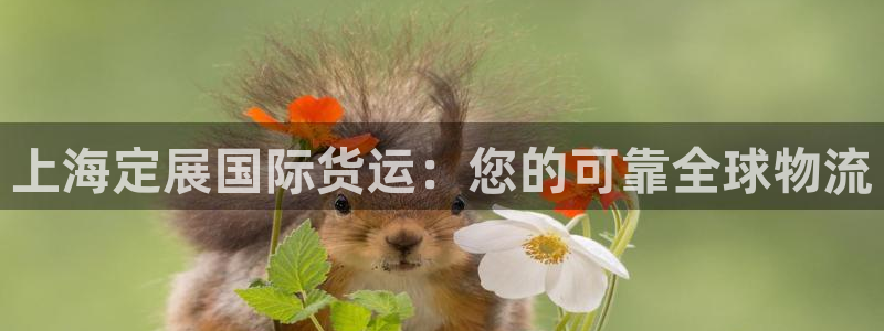 尊龙凯时几百万怎么下款：上海定展国际货运：您的可靠全球物