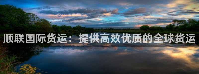 尊龙网址苹果版下载：顺联国际货运：提供高效优质的全球货运