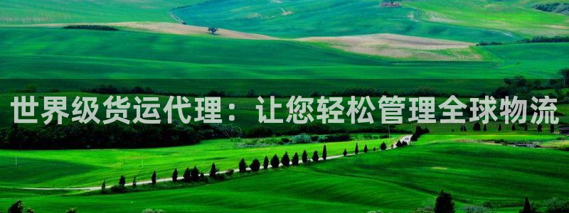 尊龙人生就是博AG旗舰厅：世界级货运代理：让您轻松管理全