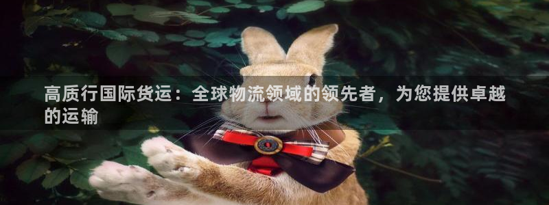 尊龙凯时v7要冲多少：高质行国际货运：全球物流领域的领先