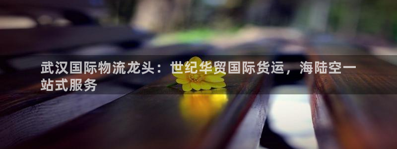 尊龙凯时d5138：武汉国际物流龙头：世纪华贸国际货运，