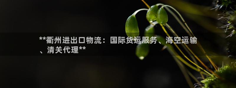 尊龙凯时ag旗舰厅登陆：**衢州进出口物流：国际货运服务