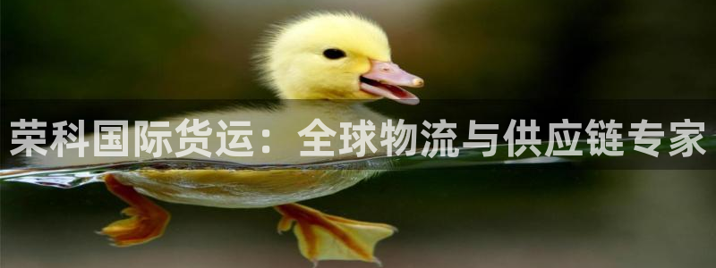 尊龙官网免费下载：荣科国际货运：全球物流与供应链专家