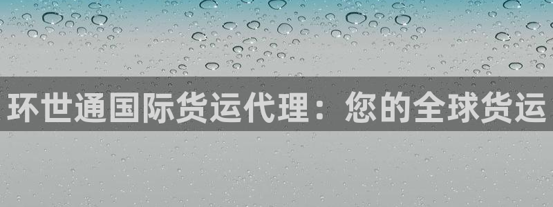 尊龙,人生就是搏：环世通国际货运代理：您的全球货运