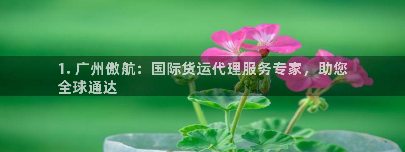尊龙凯时公司官网：1. 广州傲航：国际货运代理服务专家，