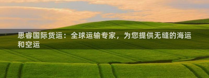 尊龙凯时一人生就是博官网：思睿国际货运：全球运输专家，为