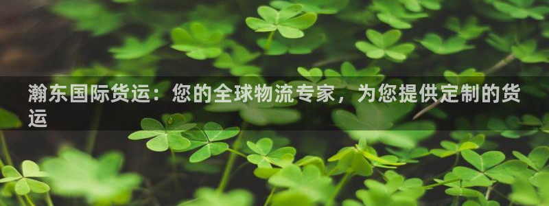 尊龙凯时 人生就是搏!平台：瀚东国际货运：您的全球物流专