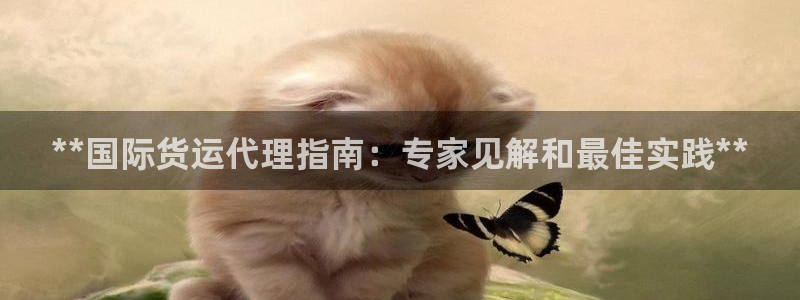 尊龙凯时官网登录入口：**国际货运代理指南：专家见解和最