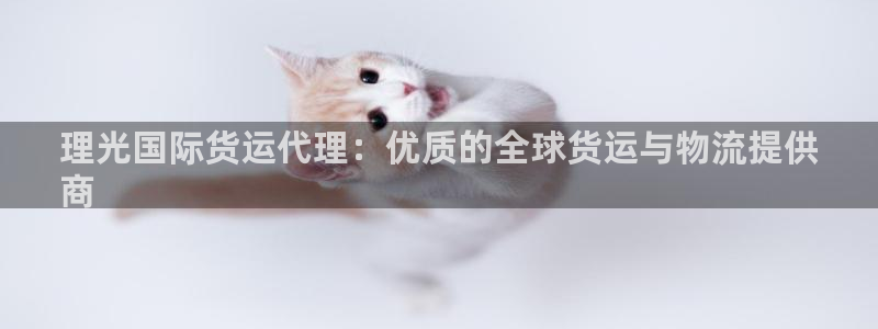 尊龙手机客户端下载：理光国际货运代理：优质的全球货运与物