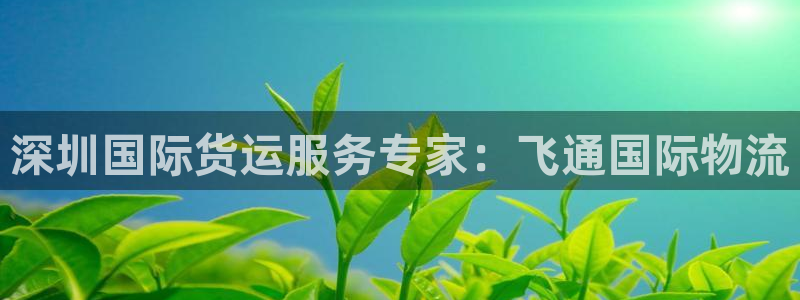 尊龙一人生就是博电子游戏：深圳国际货运服务专家：飞通国际