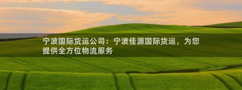 尊龙官方app下载：宁波国际货运公司：宁波佳源国际货运，