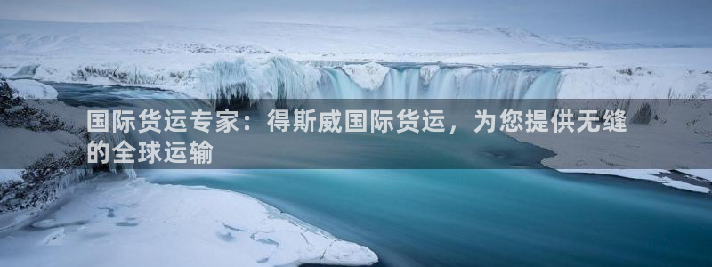 尊龙官网免费下载安装：国际货运专家：得斯威国际货运，为您