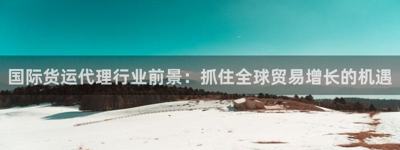 尊龙手机版：国际货运代理行业前景：抓住全球贸易增长的机遇