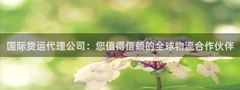 尊龙凯时法充十万返现多少：国际货运代理公司：您值得信赖的