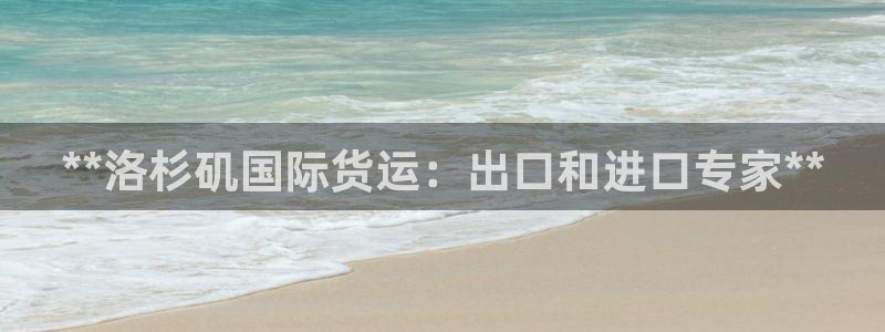 尊龙凯时总部在哪里：**洛杉矶国际货运：出口和进口专家*