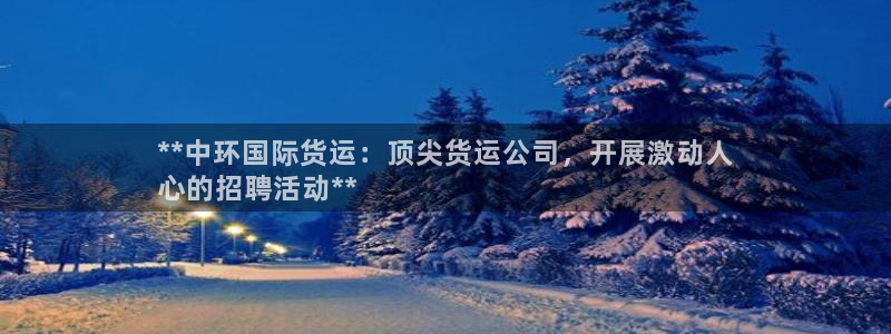 尊龙官网手机版下载：**中环国际货运：顶尖货运公司，开展