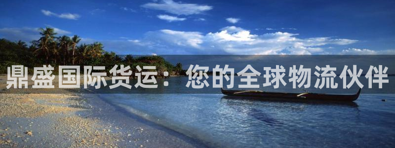 尊龙凯时官网入口：鼎盛国际货运：您的全球物流伙伴