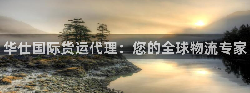 尊龙凯时集团：华仕国际货运代理：您的全球物流专家