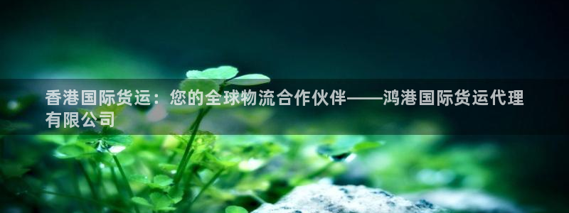 尊龙凯时几百万怎么下：香港国际货运：您的全球物流合作伙伴