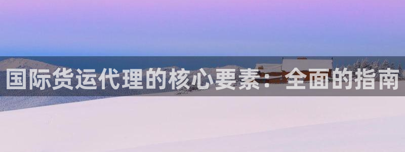 尊龙凯时网页版：国际货运代理的核心要素：全面的指南
