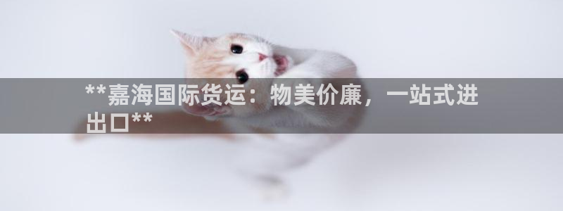 尊龙app|首选agdaohang：**嘉海国际货运：物