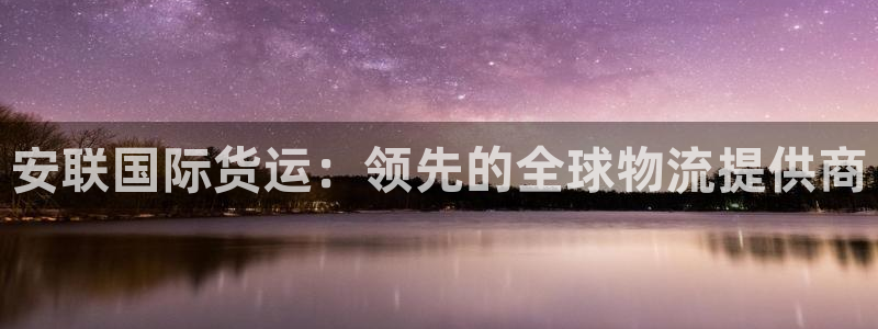 尊龙凯时泰安：安联国际货运：领先的全球物流提供商