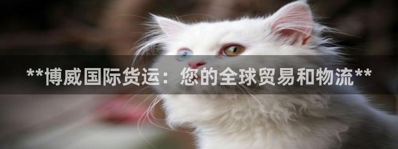 尊龙凯时人生就是博官网登录：**博威国际货运：您的全球贸