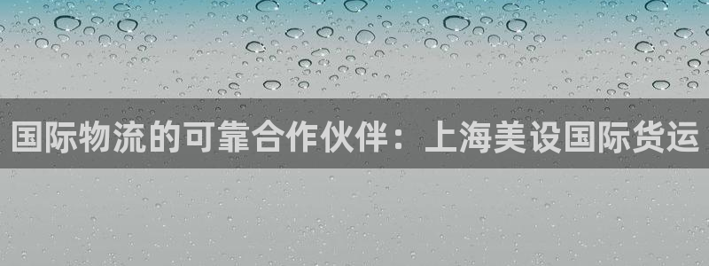 尊龙官网/首选kpm：国际物流的可靠合作伙伴：上海美设国