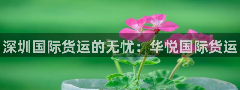 尊龙凯时注册地址：深圳国际货运的无忧：华悦国际货运