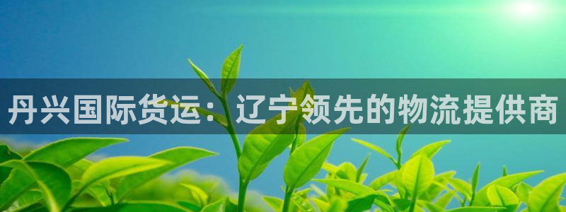 尊龙凯时 人生就是搏首页：丹兴国际货运：辽宁领先的物流提