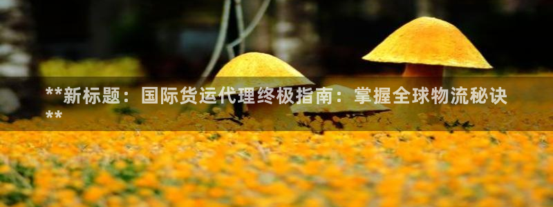 尊龙旗舰厅：**新标题：国际货运代理终极指南：掌握全球物
