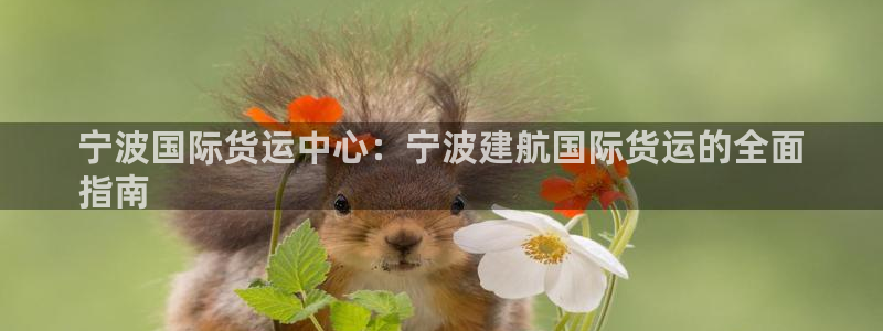 尊龙凯时人生就博官网：宁波国际货运中心：宁波建航国际货运