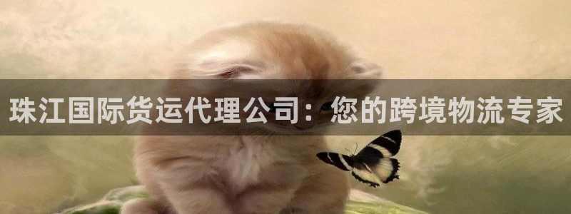 尊龙目前在哪：珠江国际货运代理公司：您的跨境物流专家