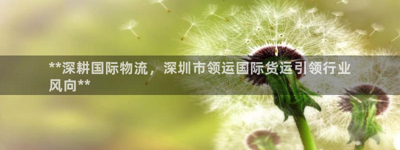 尊龙注册码：**深耕国际物流，深圳市领运国际货运引领行业