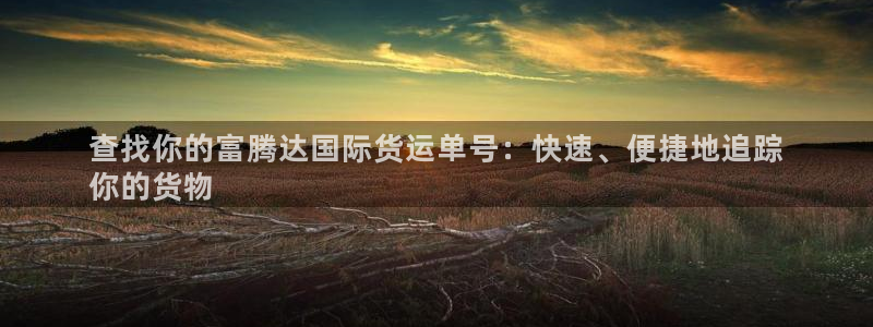 尊龙2020：查找你的富腾达国际货运单号：快速、便捷地追