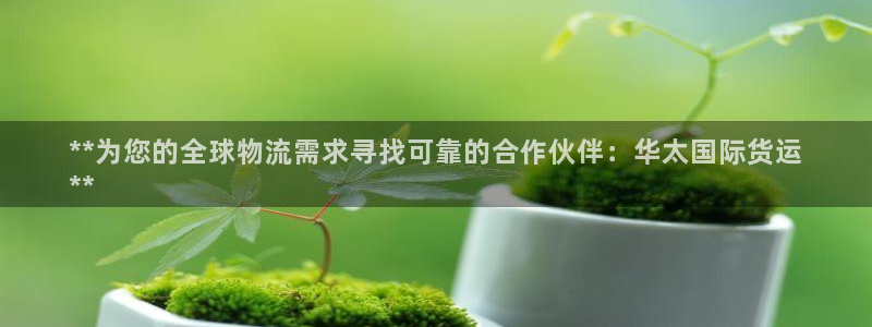 尊龙凯时网页版：**为您的全球物流需求寻找可靠的合作伙伴