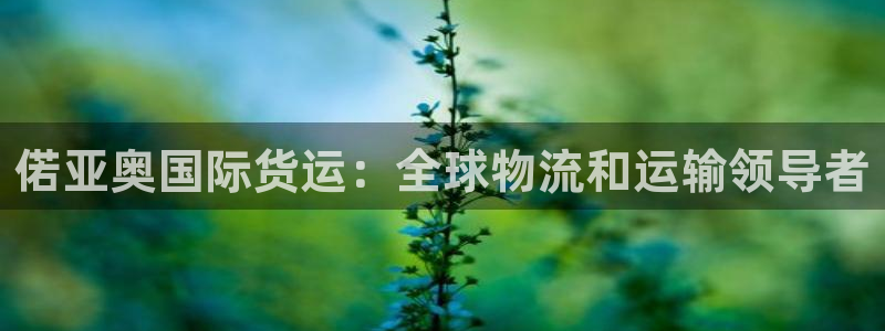 尊龙现金推荐ag发财网：偌亚奥国际货运：全球物流和运输领