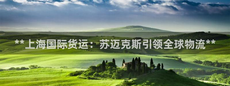 Z6尊龙凯时登录：**上海国际货运：苏迈克斯引领全球物流
