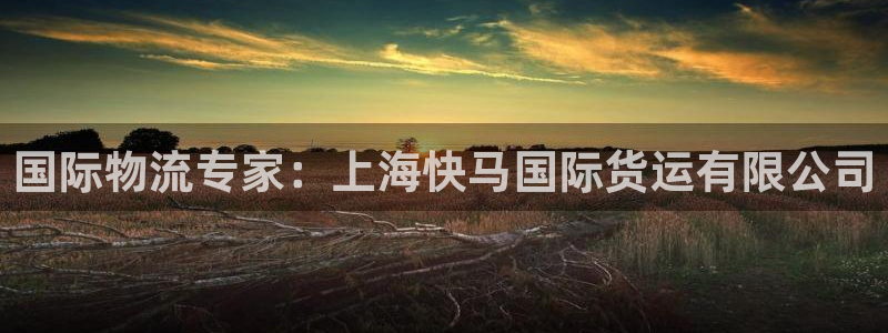 尊龙光学怎么样：国际物流专家：上海快马国际货运有限公司