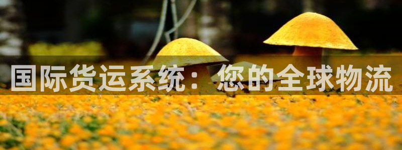 尊龙凯时网娱乐最新版下载：国际货运系统：您的全球物流