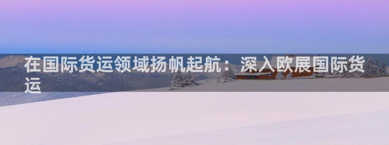 z6com尊龙凯时：在国际货运领域扬帆起航：深入欧展国际