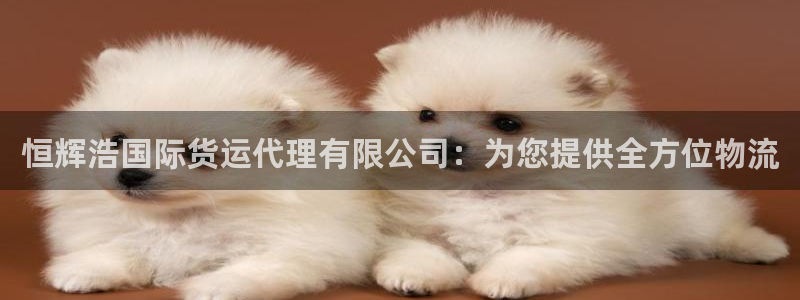尊龙凯时人生就是搏首页：恒辉浩国际货运代理有限公司：为您