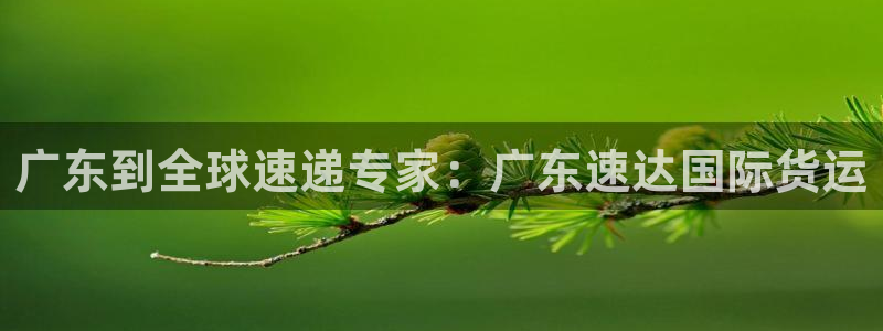 尊龙 国外：广东到全球速递专家：广东速达国际货运